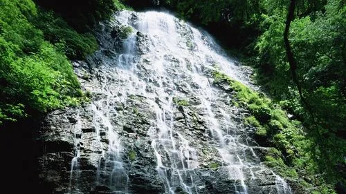 高效高性能环保